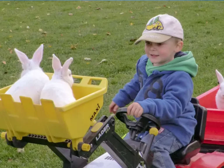 Panoramahof-Linder-Aussicht-03