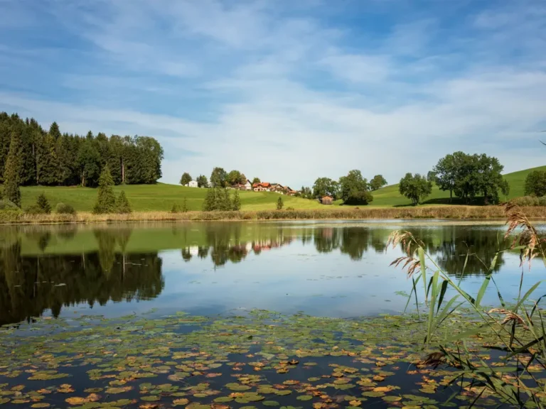 Panoramahof-Linder-Aussicht-05